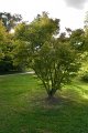 0046Arboretum Vallee aux loups